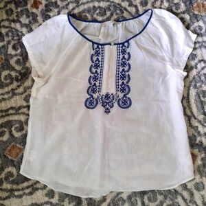 Lovely Blouse White and Blue Blouse